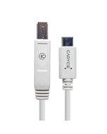 Cadyce CA-CU3BM USB-C type to USB 3.1 Standard B type Male Cable